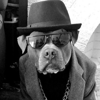 Логотип @happyobrazovaka - Happyobrazovaka