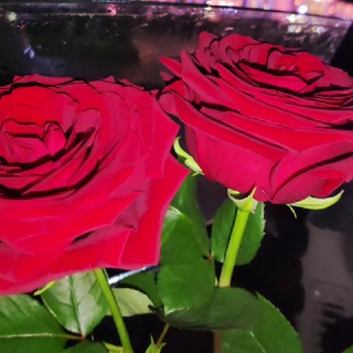 Логотип @hasihadlyajen11102022 - Сохрани в себе человека