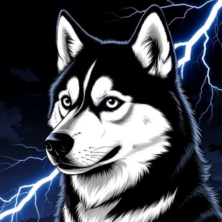 Логотип @hasty4ch - Hasty4🐾