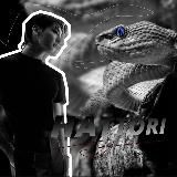 Логотип @hattories7 - .