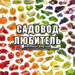 Логотип @havaskorbogbon_sadovod - Садовод Любитель (Havaskor Bog'bon)
