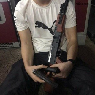 Логотип @havaston - snake