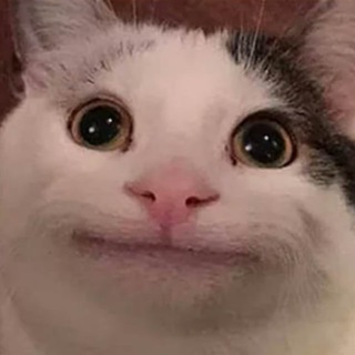 Логотип @havebestmemes - NiceVideo