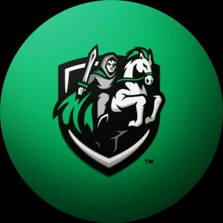 Логотип @havocgamergroup - H4voc Group