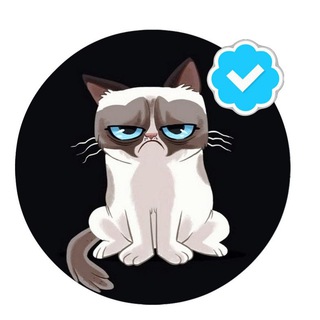 Логотип @havyava_tut - Халява от Котика 🎁