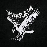 Логотип @hawkpubg - hawkpubg