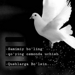 Логотип @hayotimsanr - ᴴᴬʸᴼᵀᴵᴹˢᴬᴺ🕊❤