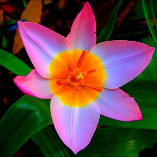 Логотип @hayr_ehson - Хайр-эхсон. АРШ СОЯСИДАН ЖОЙ ОЛИШГА ШОШИЛИНГ