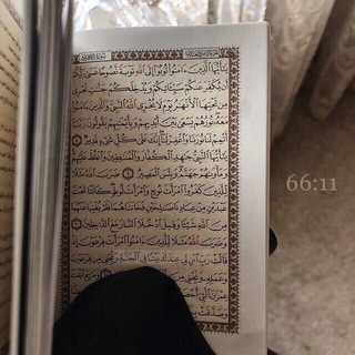 Логотип @hazasabili - 66:11