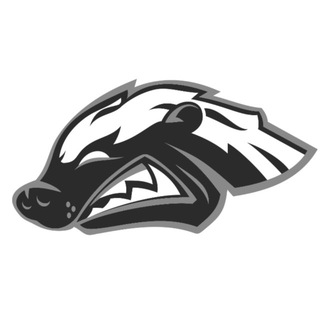 Логотип @hb_boxing - HB BOXING | HONEY BADGER