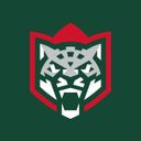 ХК «Ак Барс»