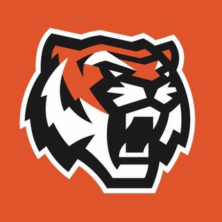 Логотип @hcamurtigers - МХК «Амурские Тигры»