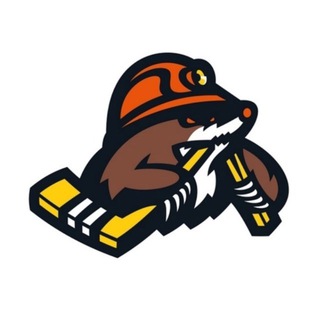 Логотип @hcshahterby - ХК Шахтер-Солигорск