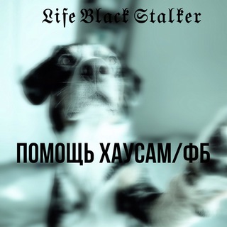 Логотип @hdjdgjgy - ПОМОЩЬ ХАУСАМ ОТ СТАЛКЕРА
