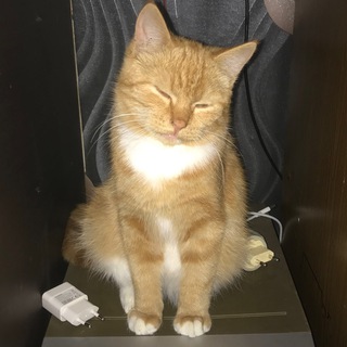 Логотип @hdjxjuxkf - Юра, что вы сделал?!?!lll