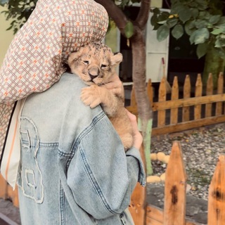 Логотип @hdsintem - 𝗛𝗮𝗽𝗽𝗶𝗻𝗲𝘀𝘀