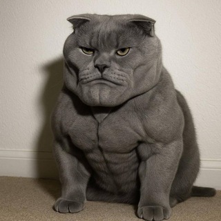 Логотип @hdtrash - Мемоуполномоченный