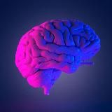 Логотип @head_ton - С головой в TON