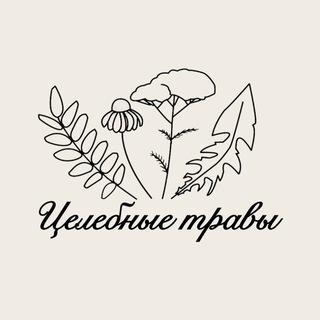 Логотип @healherbs_rus - Целебные травы 🌿