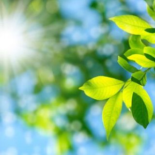 Логотип @healnow - Healthy Habits & Happiness ✨️