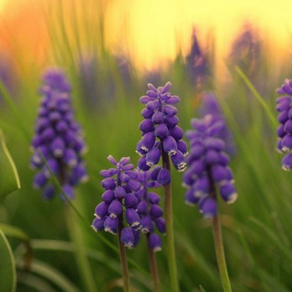 Логотип @health_and_beauty_o4 - Health_and_beauty_coach