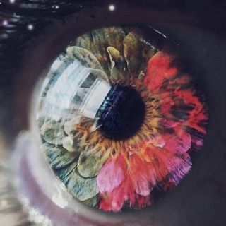 Логотип @healthandage - Биохакинг и Долголетие