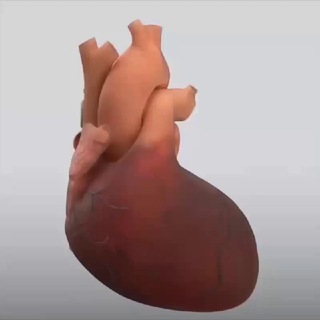 Логотип @healthfitnessi - Health and Fitness™