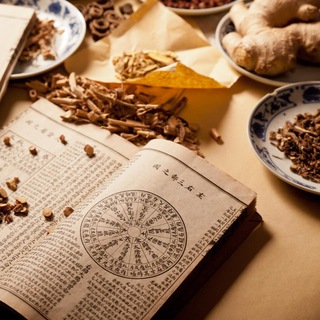 Логотип @healthvo - Психосоматика. Счастливая & Здоровая жизнь