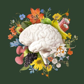 Логотип @healthy_house - Хелси хаус