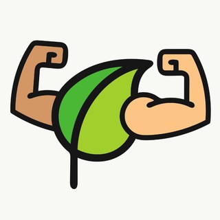 Логотип @healthybody_1 - Healthy Body