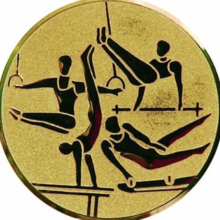 Логотип @healthymindhealthybody - В здоровом теле - здоровый дух | СПОРТ