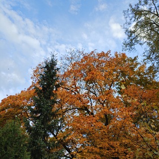 Логотип @hedgehog_red - Теолог в парикмахерской