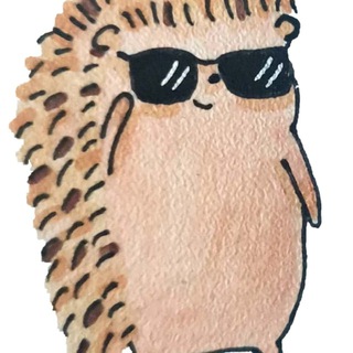 Логотип @hedgehogfinance - Hedgehog Finance