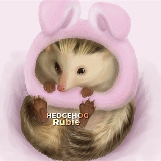 Логотип @hedgehogrubie - ᴇжонок ᴩуби 🦔🤍