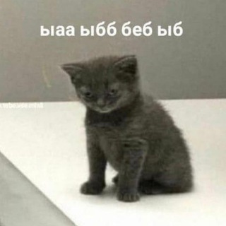 Логотип @heheheblblbl - Мем на каждый день