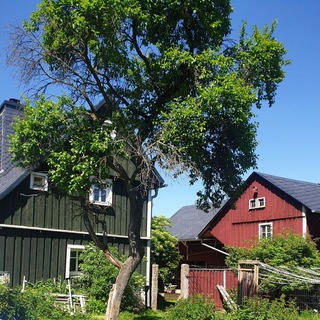 Логотип @heidisnaturmittel - Heidi's Naturheilmittel