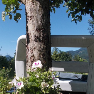 Логотип @heidispirit - Heidi Spirit * Ganzheitliche Psychologie