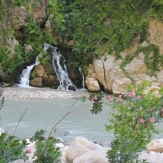 Логотип @heiledichselbst1 - Heile Dich Selbst