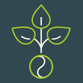 Логотип @heilstoff - Heilstoff | Ganzheitlich gesund 🌱