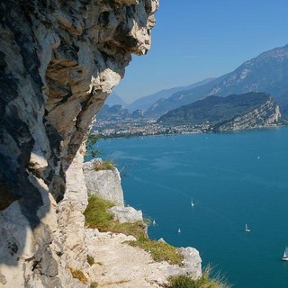 Логотип @heilungsdosis - 🌹❤️💖 Die Heilungsdosis 💖❤️🌹