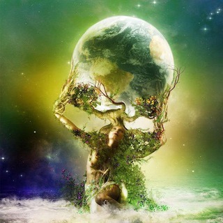 Логотип @heilungswegezurgesundheit - Altes Heilwissen Heilungswege Gesundheit Frequenzen Finanzen Energie Martijn van Staveren