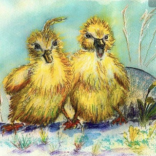 Логотип @heimischeprodukte - Heimische Direktvermarktung und Gesundheit