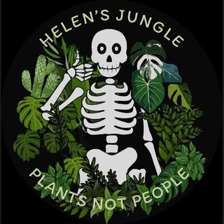 Логотип @helensjungle - 🪴 Helen's Jungle 🪴 | Будячечная
