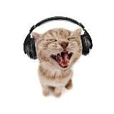 Логотип @hellokiskamyalis - sengwich:3🥪