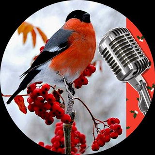 Логотип @helloonly - Привет, Председ!