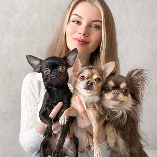 Логотип @helloukki - Hello_ukki