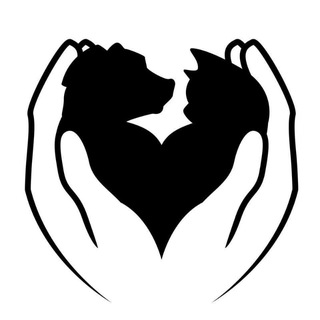 Логотип @helpanimalscbgrnd - Реальная помощь животным ЦБЖ РнД! 🐶🐱