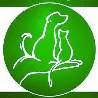 Логотип @helpdogdv - helpdogdv