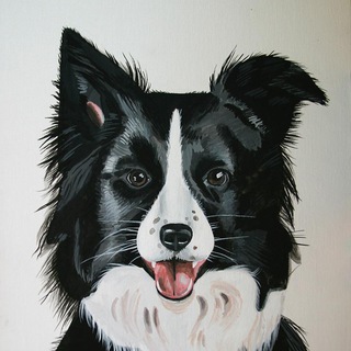 Логотип @helpdogtraining - УМНЫЙ ПЁС☝️🐶