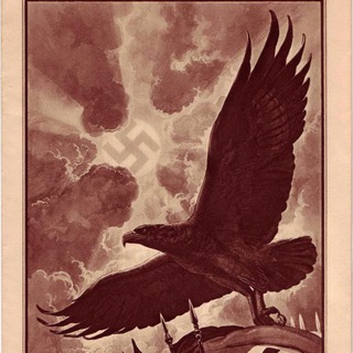 Логотип @helpforsasha - Помощь Санчесу Мачете❤️